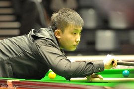 从而为泰山 从而为泰山